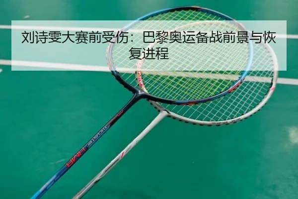 刘诗雯大赛前受伤：巴黎奥运备战前景与恢复进程（jiuyou）